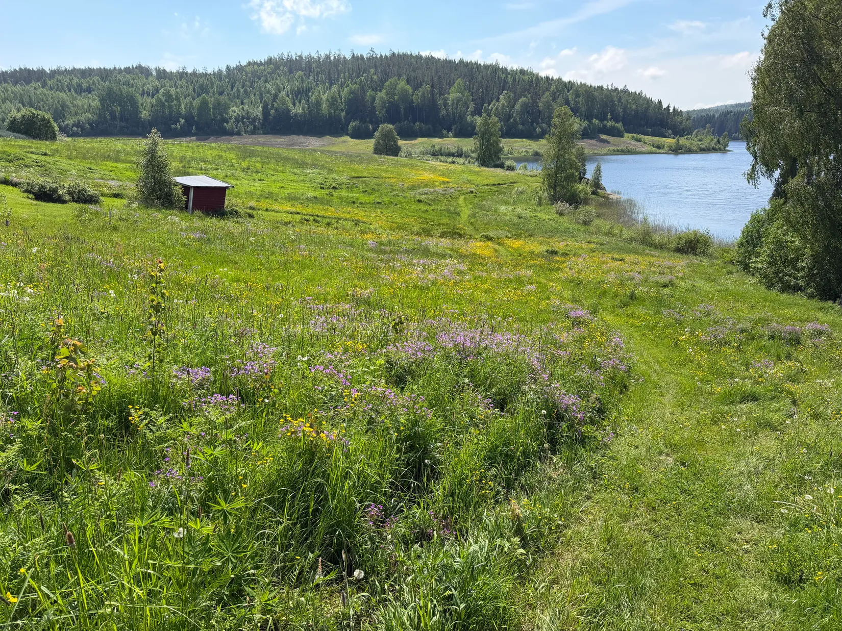 Tomt, Stora Bandsjön 515 (TIMRÅ ÅKERBY 2:27), Stora bandsjön, Timrå