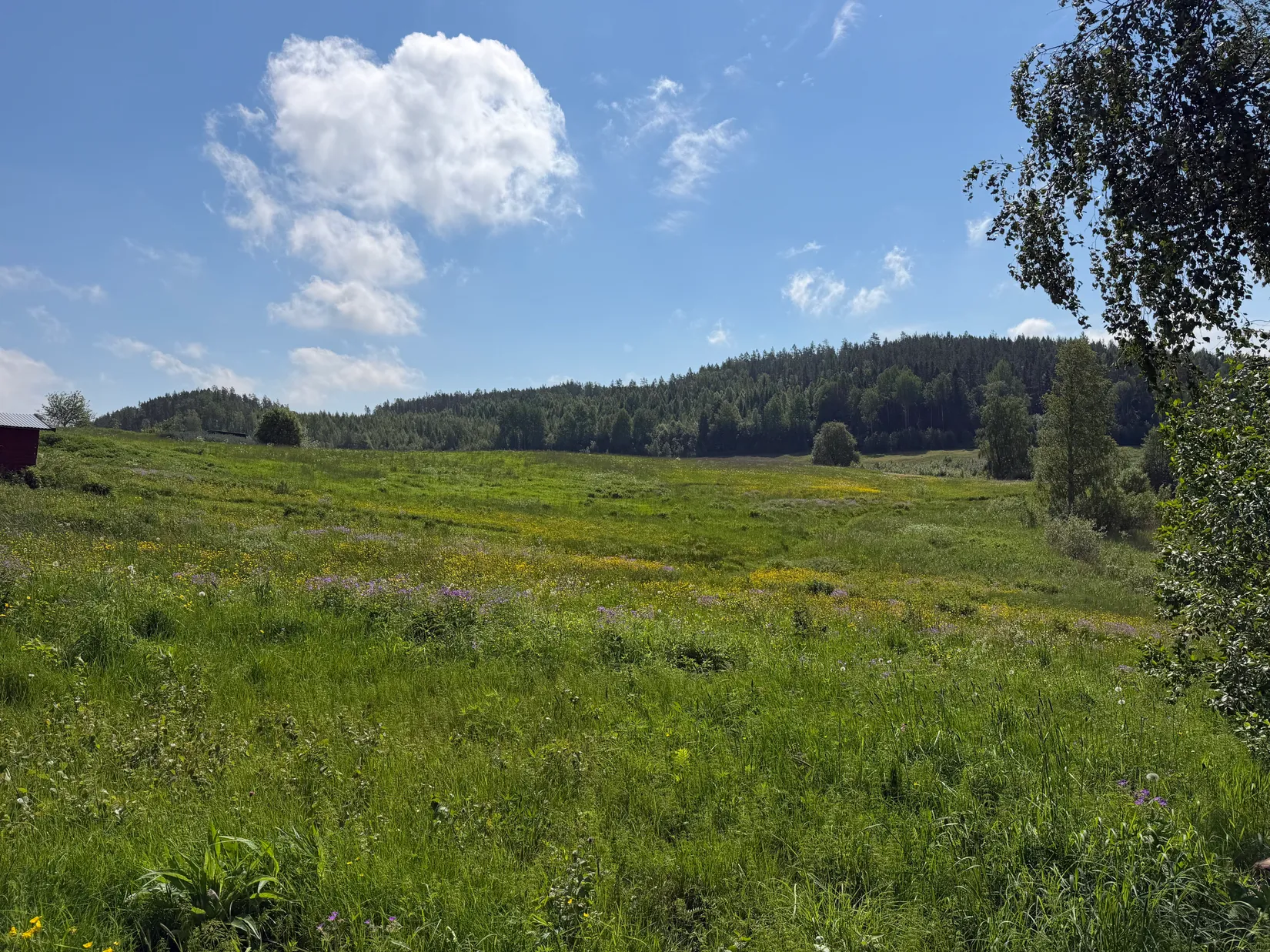 Tomt, Stora Bandsjön 515 (TIMRÅ ÅKERBY 2:27), Stora bandsjön, Timrå