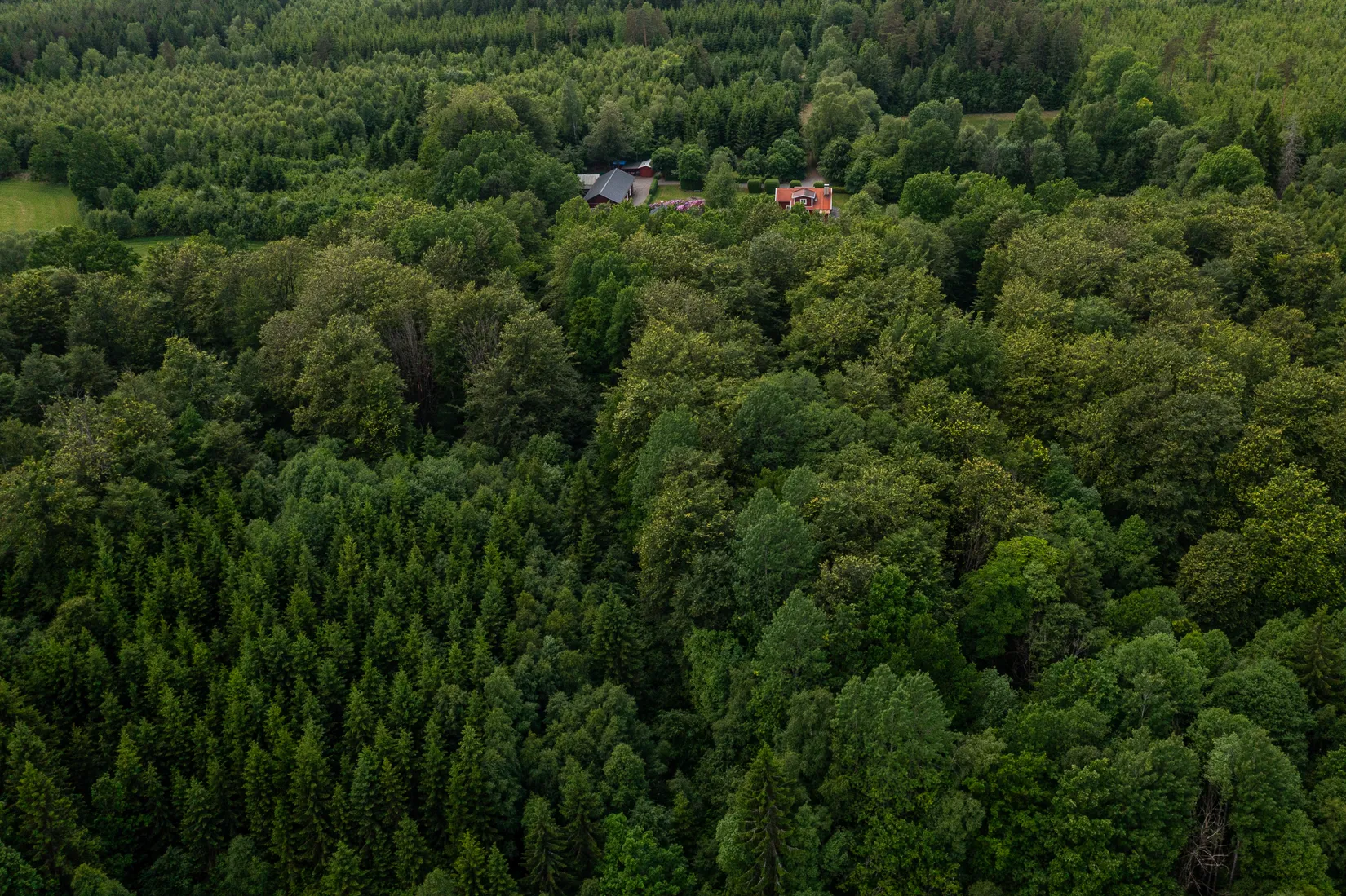 Gård/Skog, Bästerna Bokehult 1, Alvesta