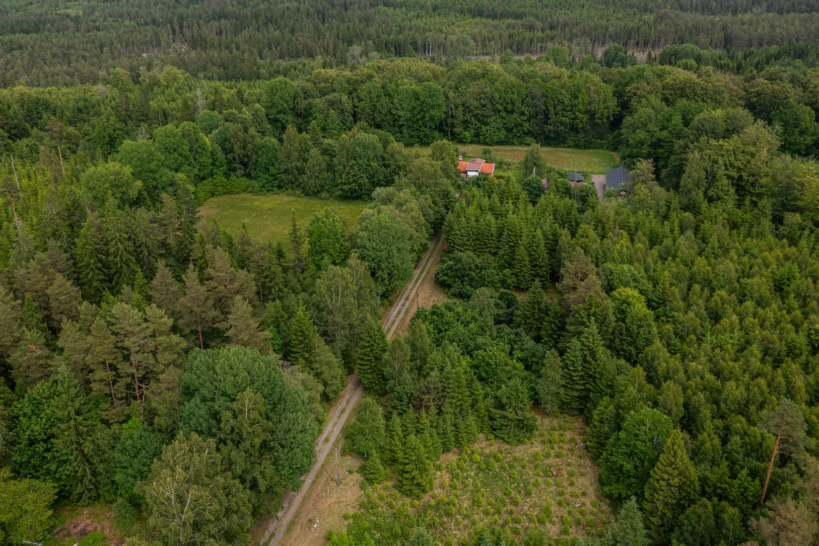Gård/Skog, Bästerna Bokehult 1, Alvesta