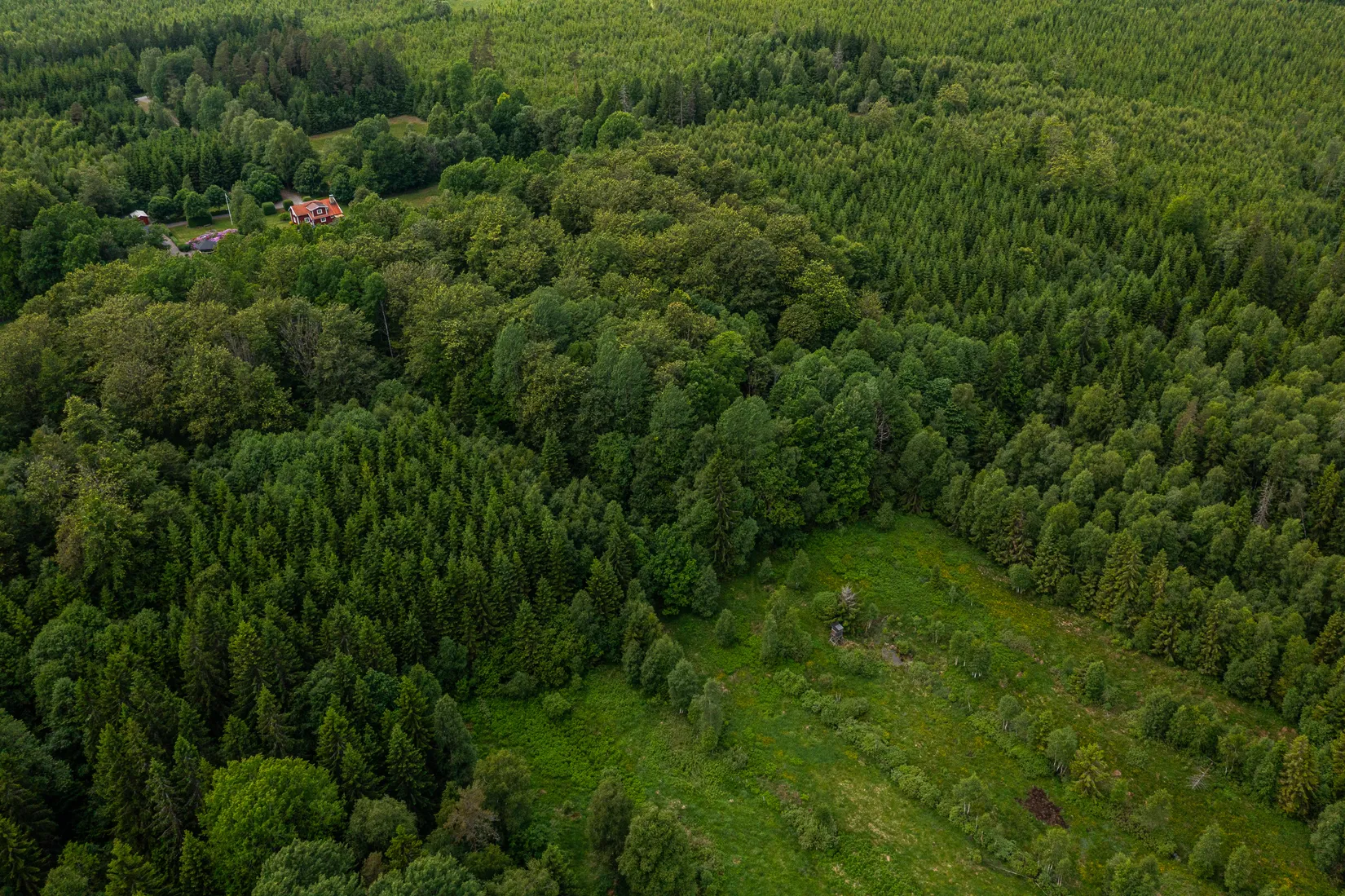 Gård/Skog, Bästerna Bokehult 1, Alvesta