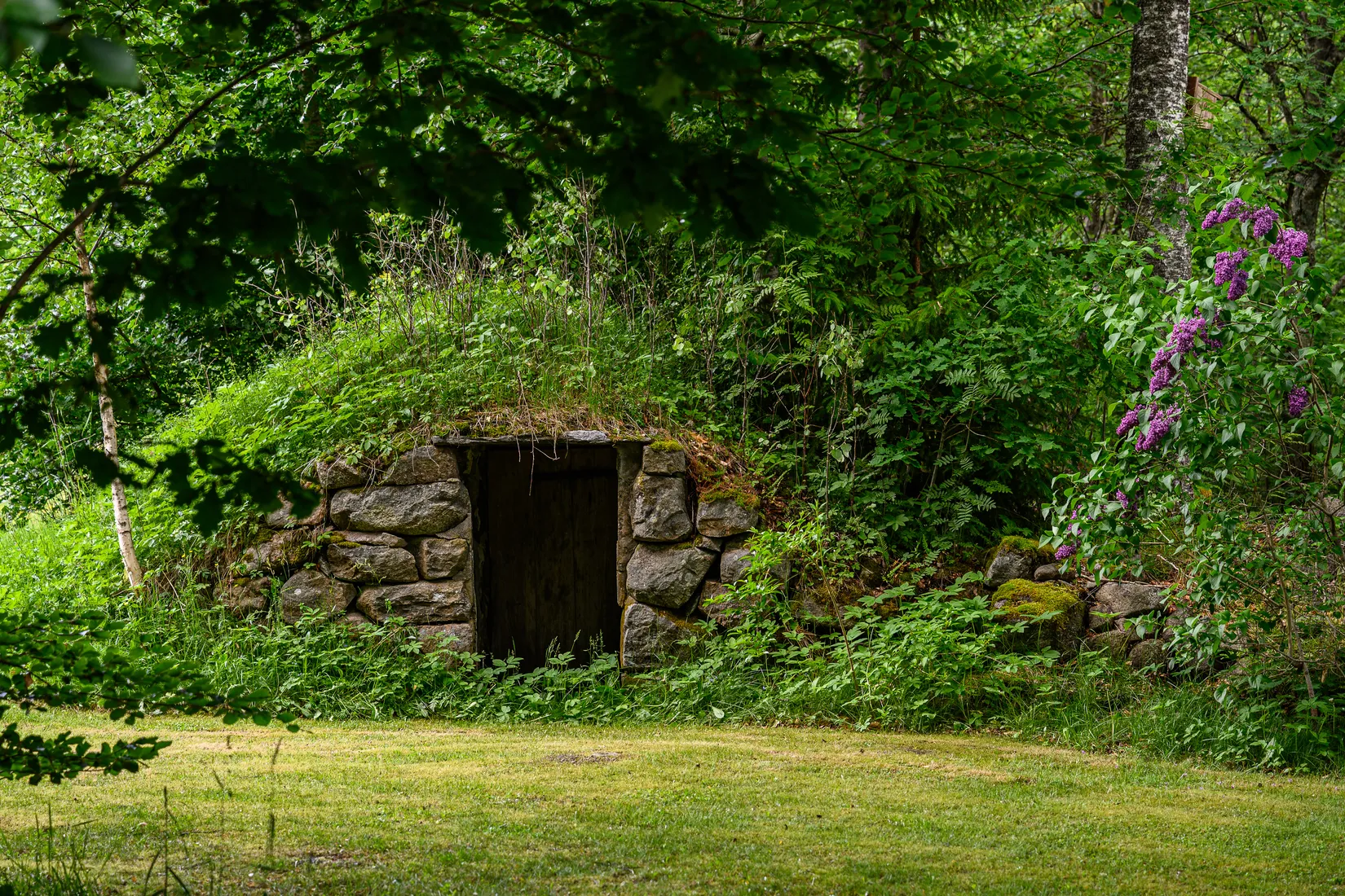 Gård/Skog, Bästerna Bokehult 1, Alvesta