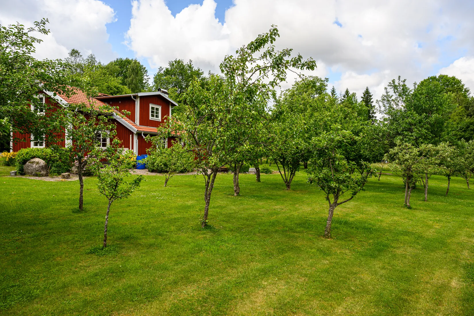 Gård/Skog, Bästerna Bokehult 1, Alvesta