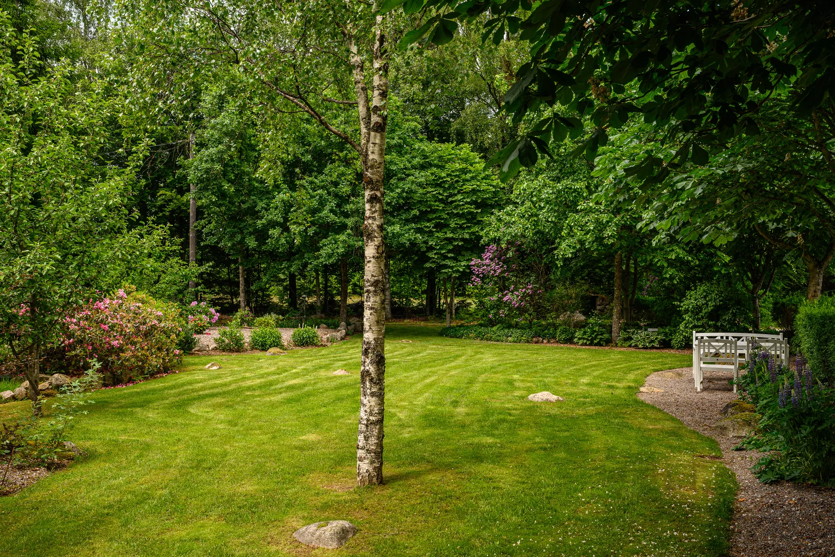 Gård/Skog, Bästerna Bokehult 1, Alvesta