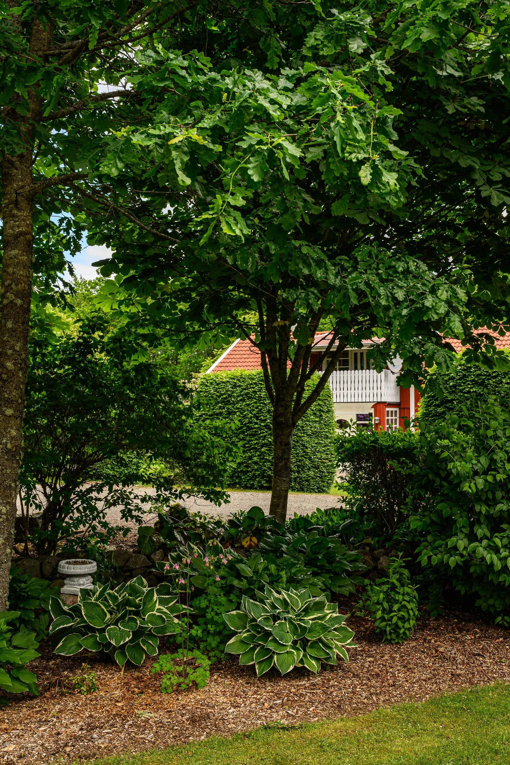 Gård/Skog, Bästerna Bokehult 1, Alvesta