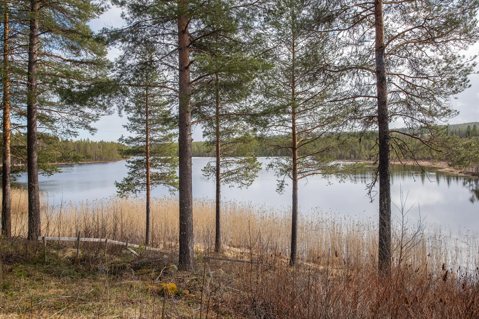 Fritidshus, Ekträsk 30, Ekträsk, Vindeln