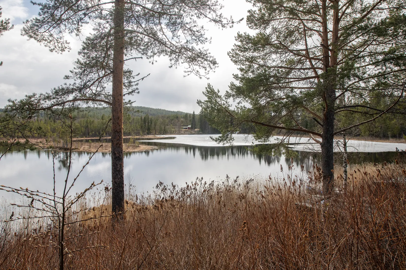 Fritidshus, Ekträsk 30, Ekträsk, Vindeln