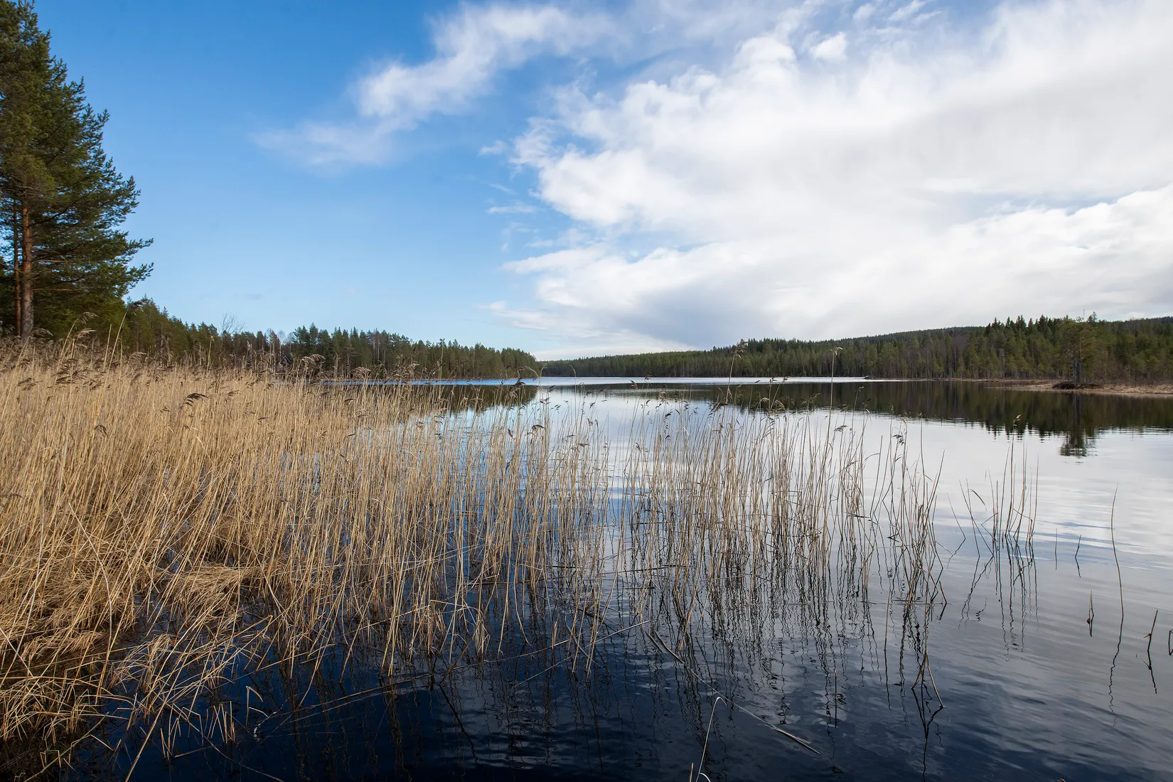 Fritidshus, Ekträsk 30, Ekträsk, Vindeln
