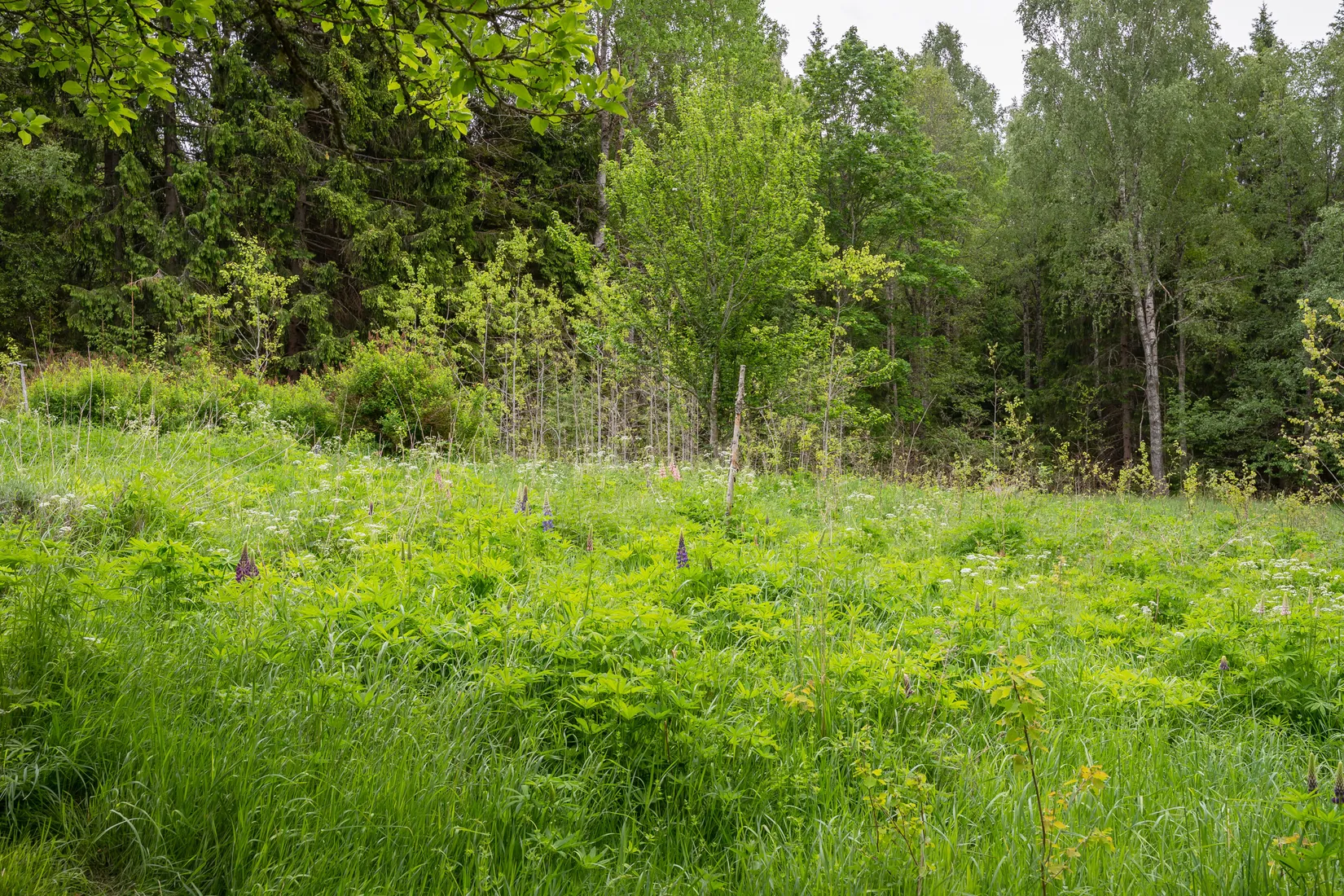 Fritidshus, Vånga Hägn, Vånga, Norrköping