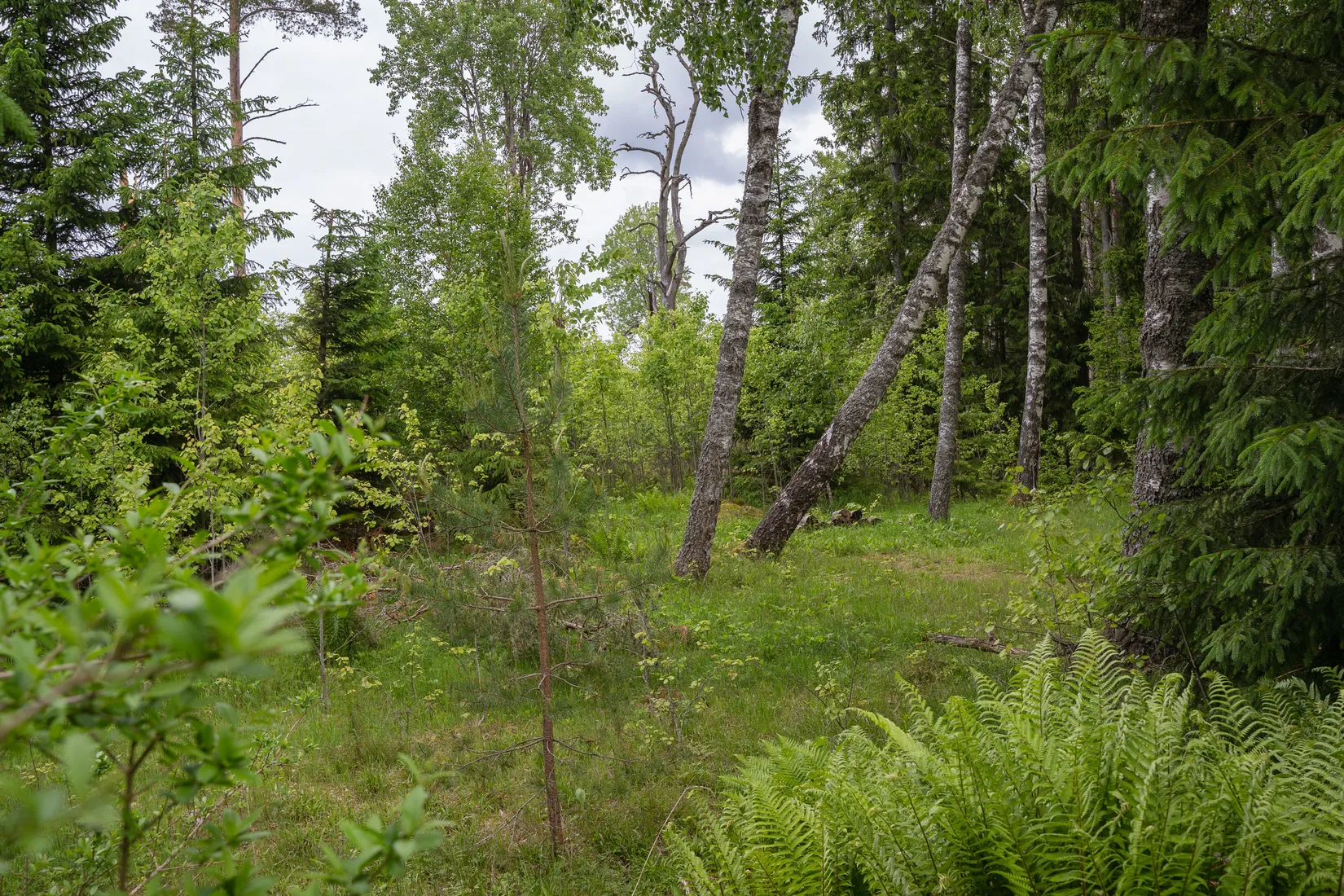 Fritidshus, Vånga Hägn, Vånga, Norrköping