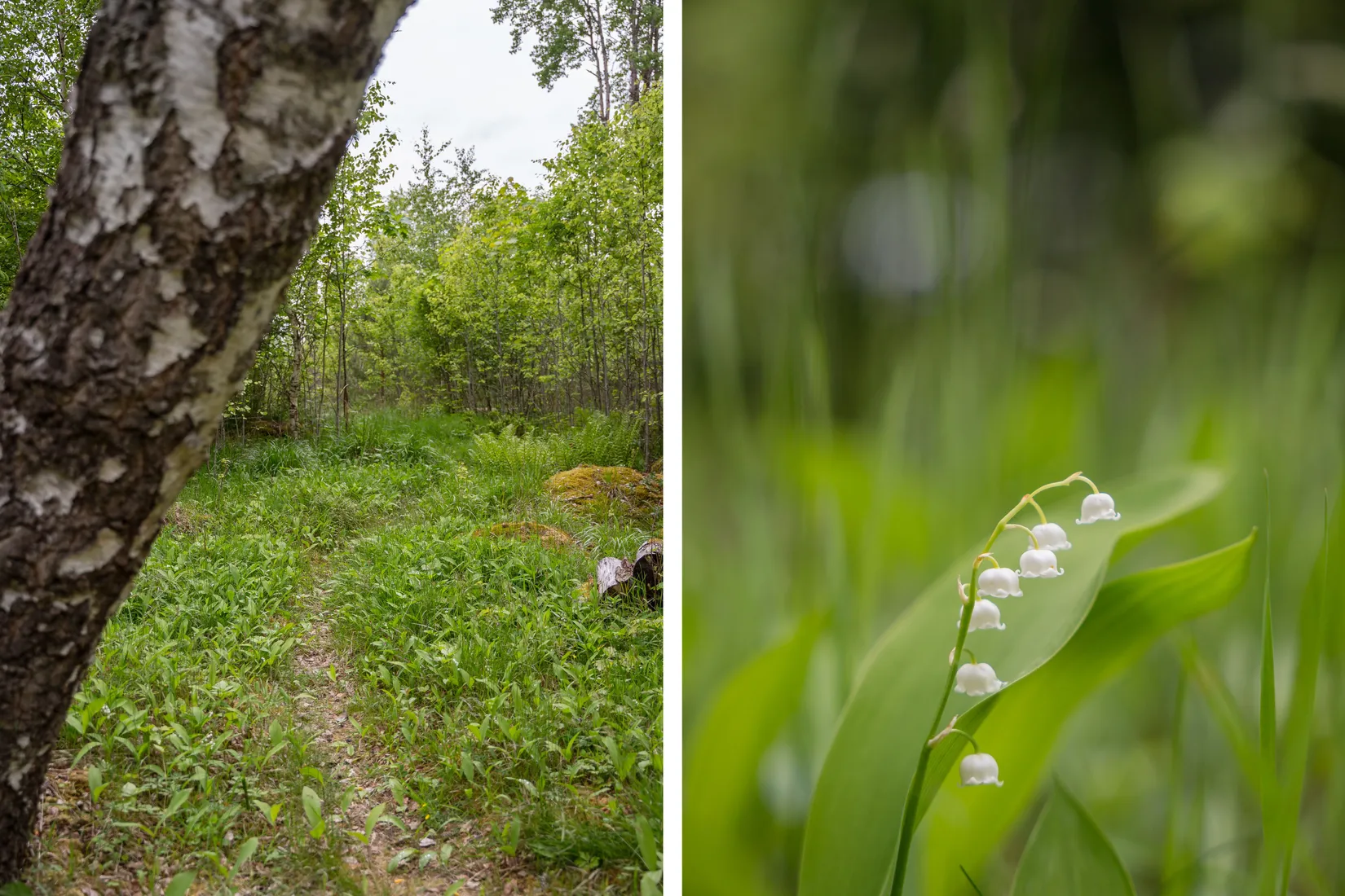 Fritidshus, Vånga Hägn, Vånga, Norrköping