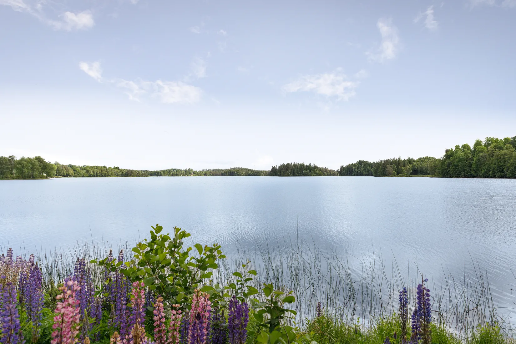 Gård/Skog, Romhult 1, Jönköping