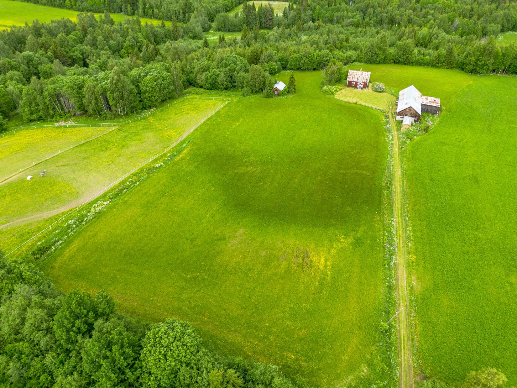 Gård/Skog, Holmsta 128, Sollefteå
