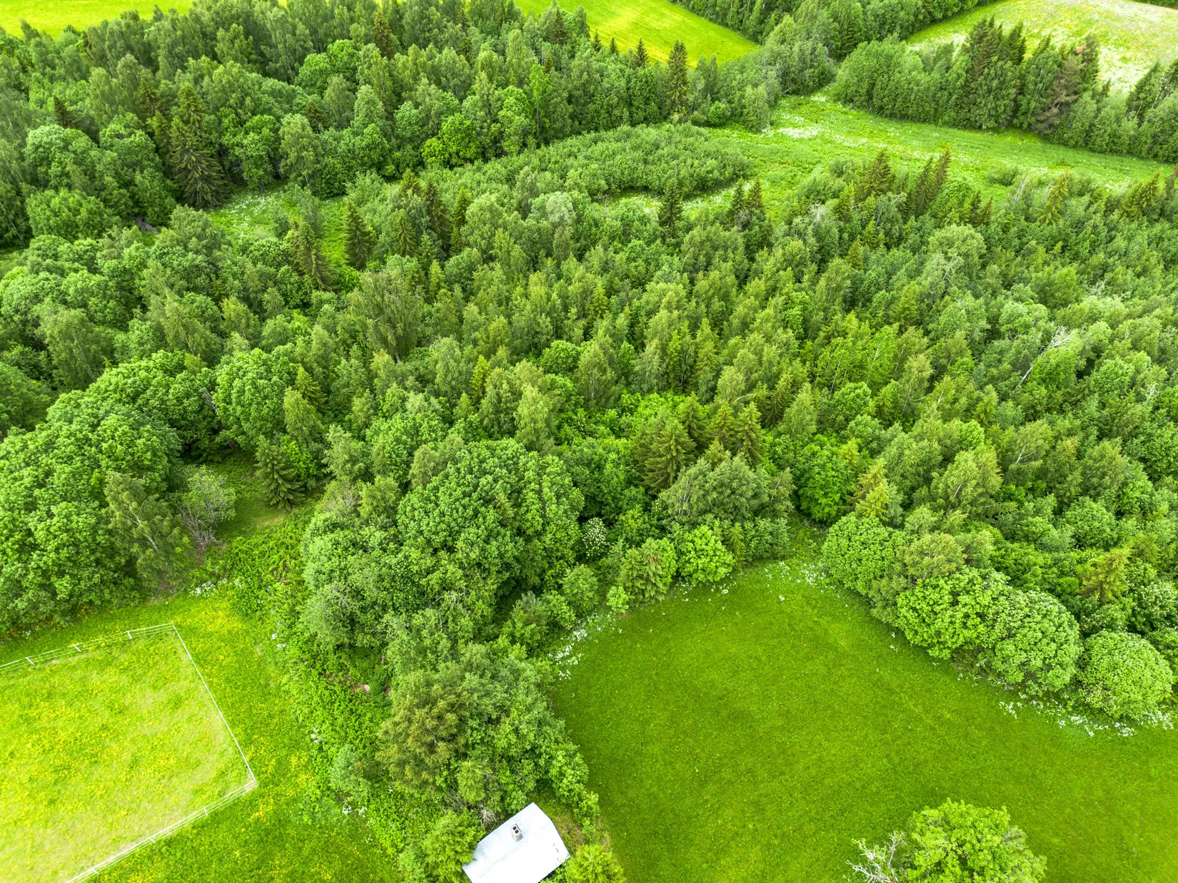 Gård/Skog, Holmsta 128, Sollefteå