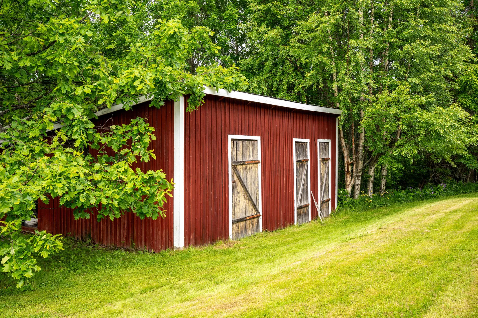 Gård/Skog, Holmsta 128, Sollefteå