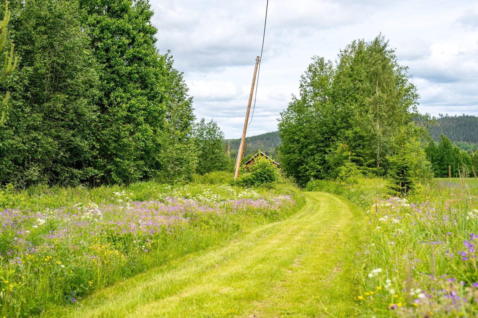 Gård/Skog, Holmsta 128, Sollefteå