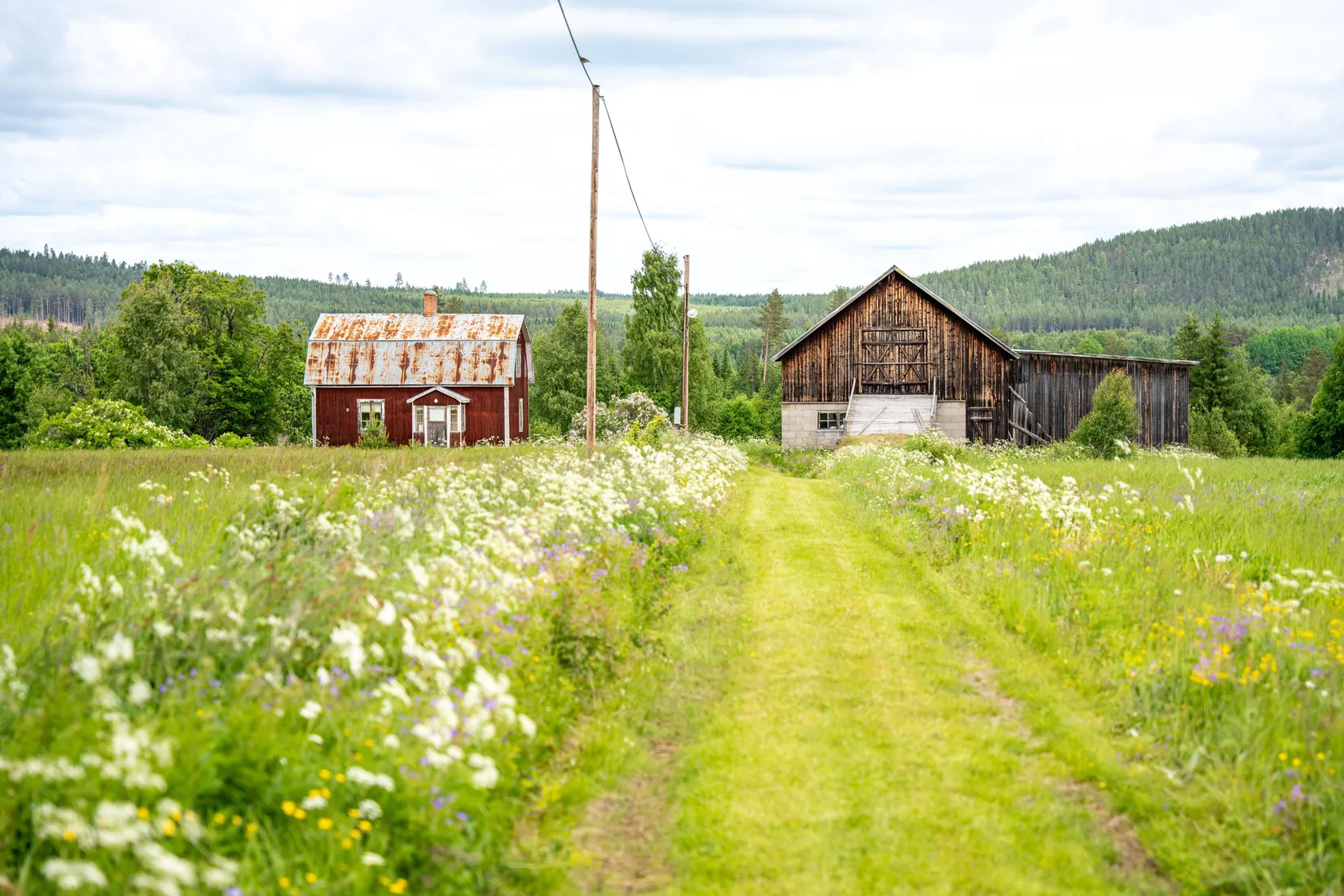 Gård/Skog, Holmsta 128, Sollefteå