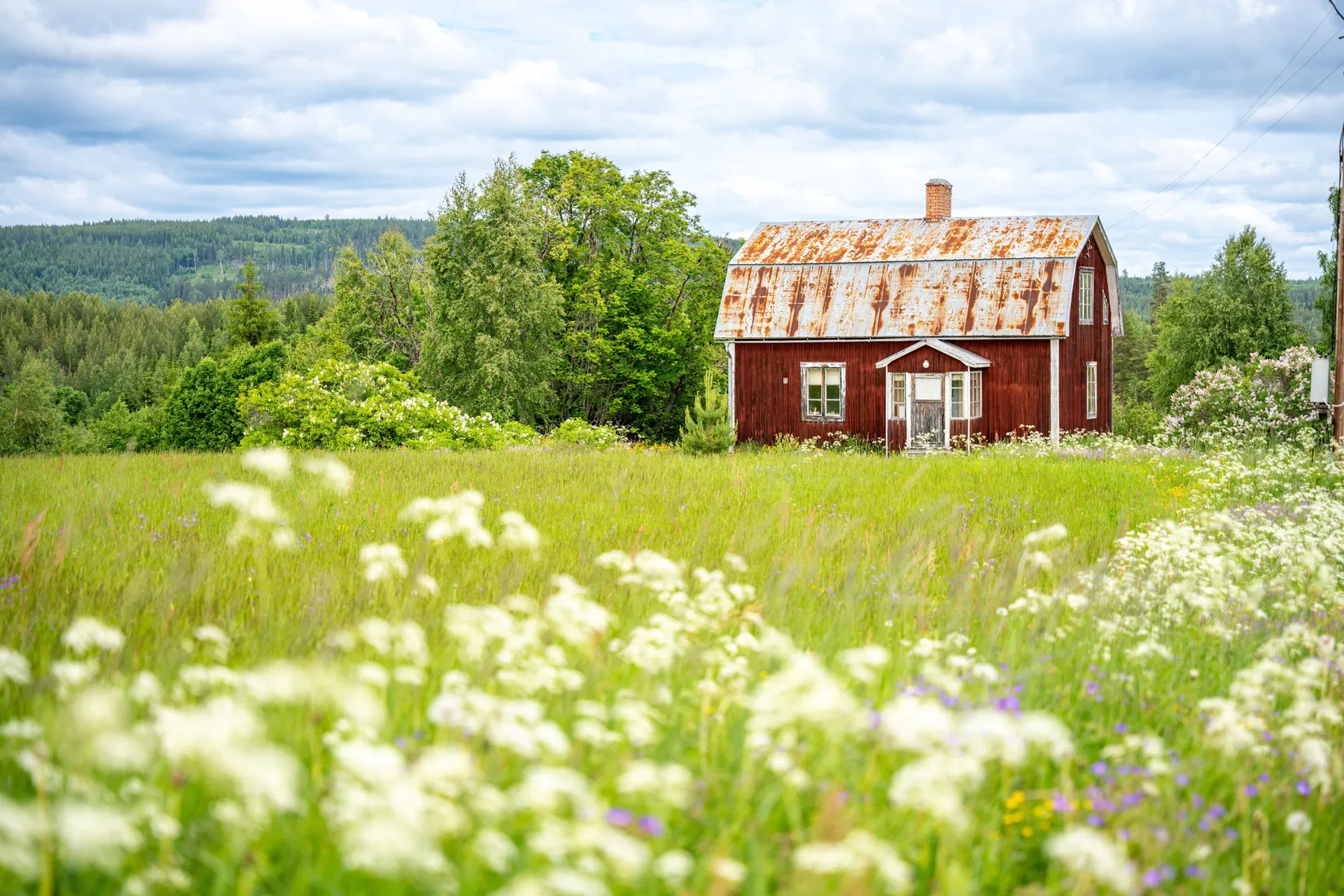 Gård/Skog, Holmsta 128, Sollefteå