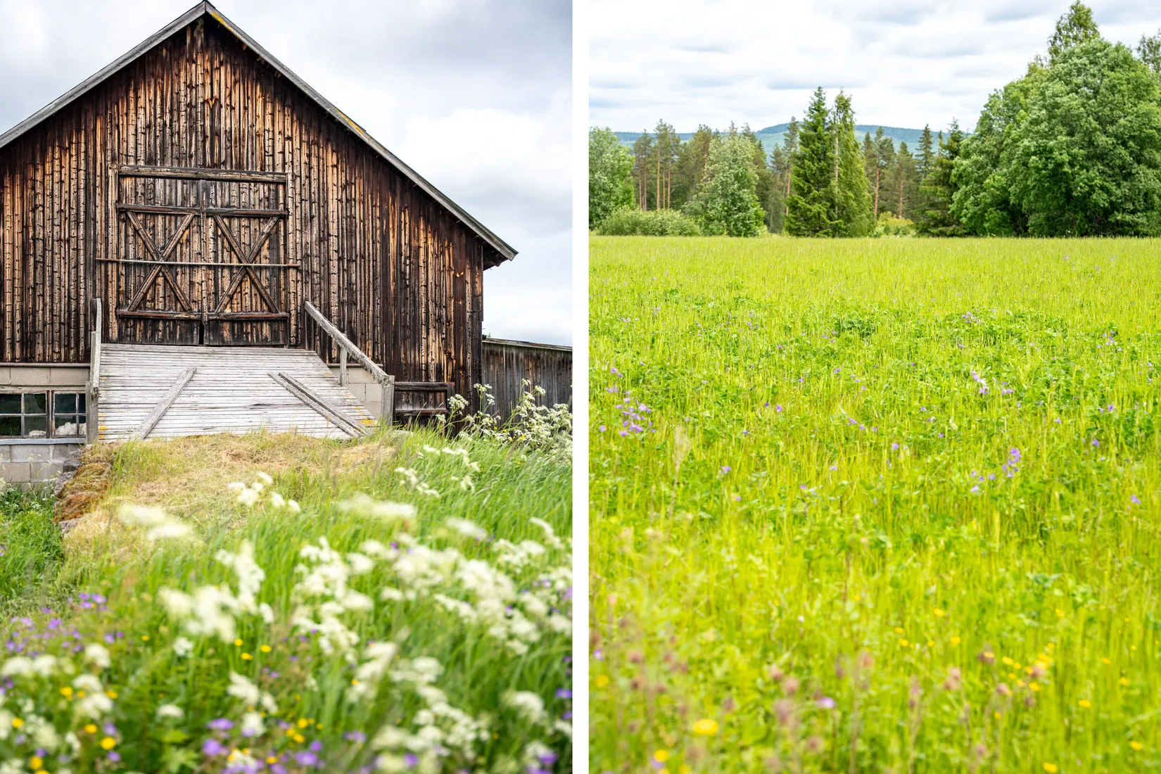 Gård/Skog, Holmsta 128, Sollefteå
