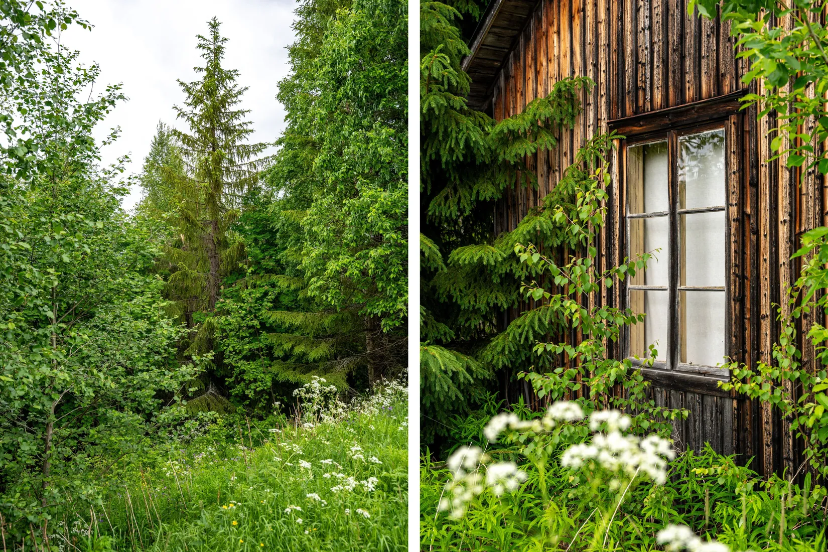 Gård/Skog, Holmsta 128, Sollefteå