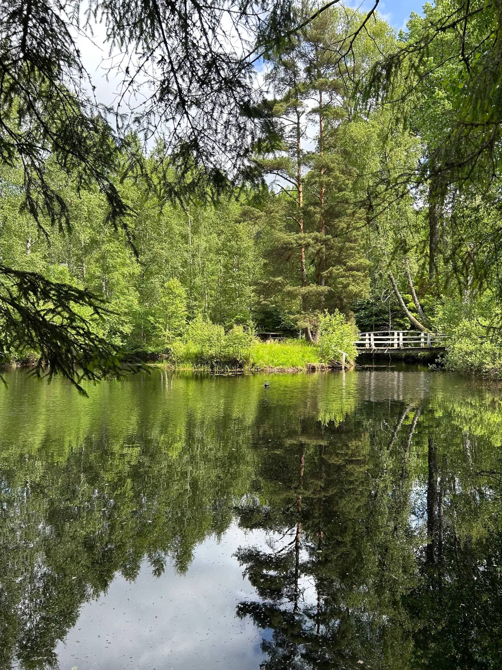 Gård/Skog, Dalen 1, Svenljunga