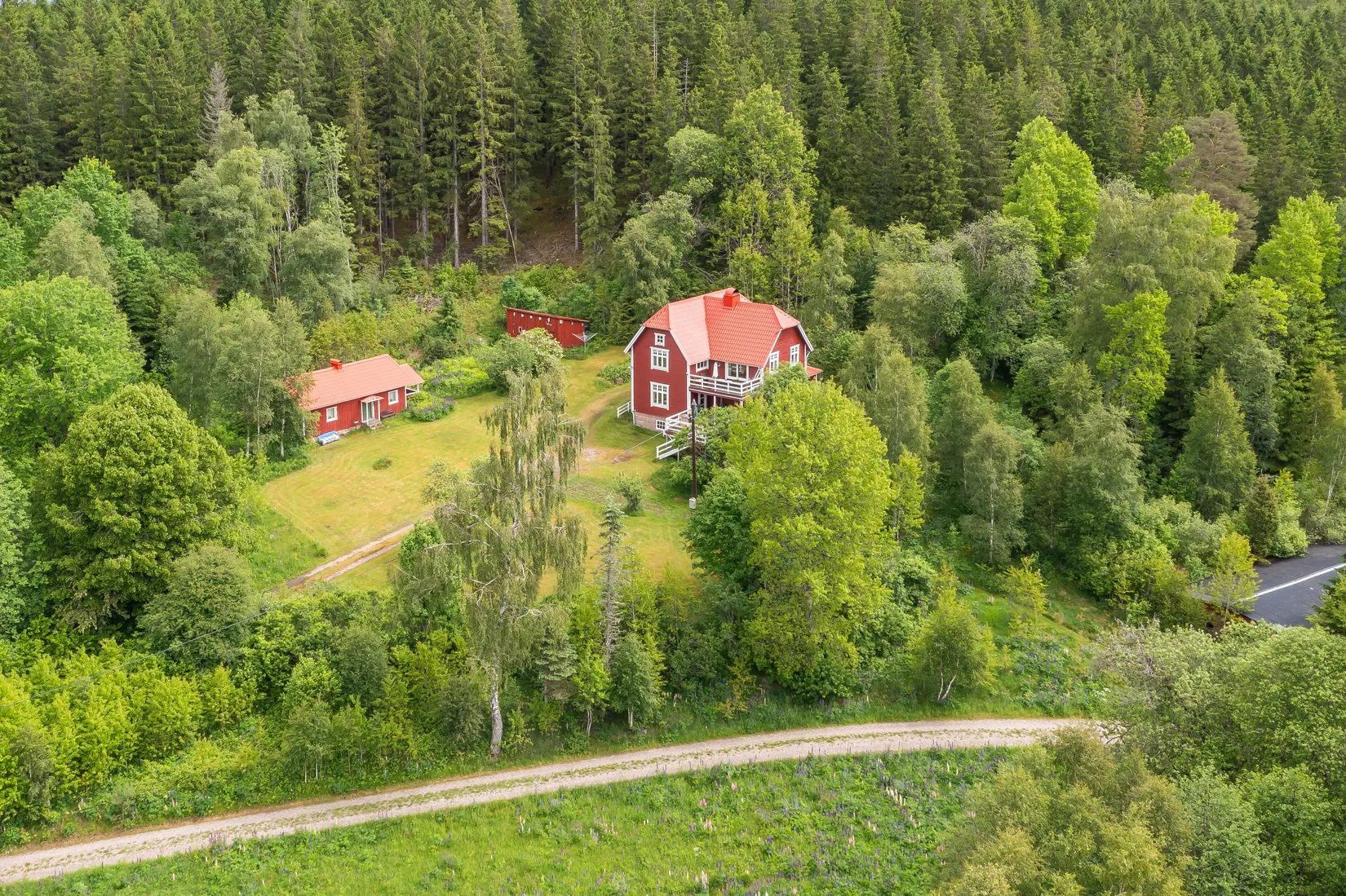 Gård/Skog, Dalen 1, Svenljunga