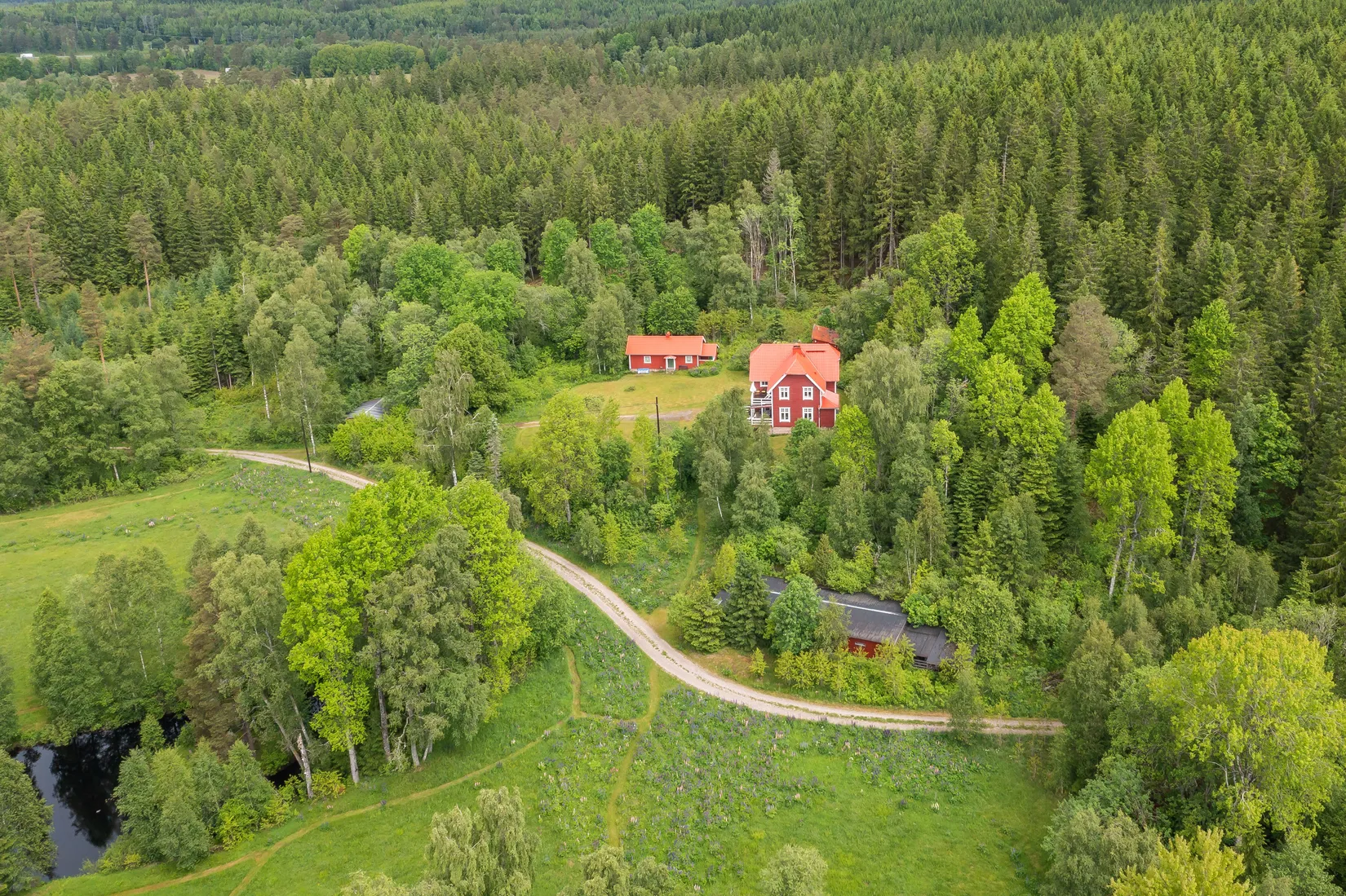 Gård/Skog, Dalen 1, Svenljunga
