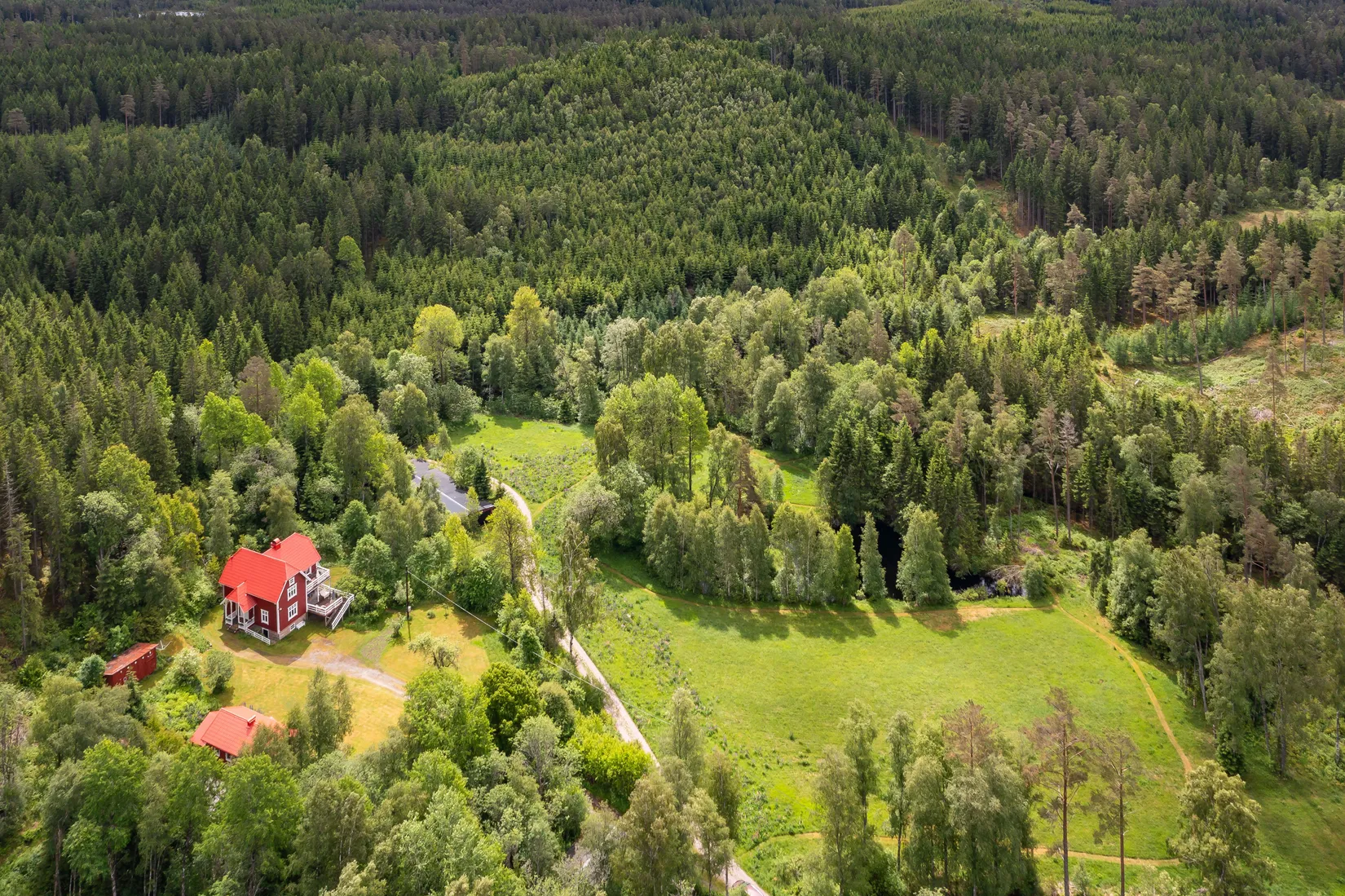 Gård/Skog, Dalen 1, Svenljunga
