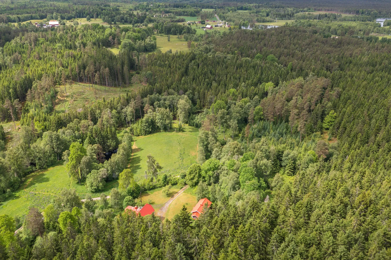 Gård/Skog, Dalen 1, Svenljunga