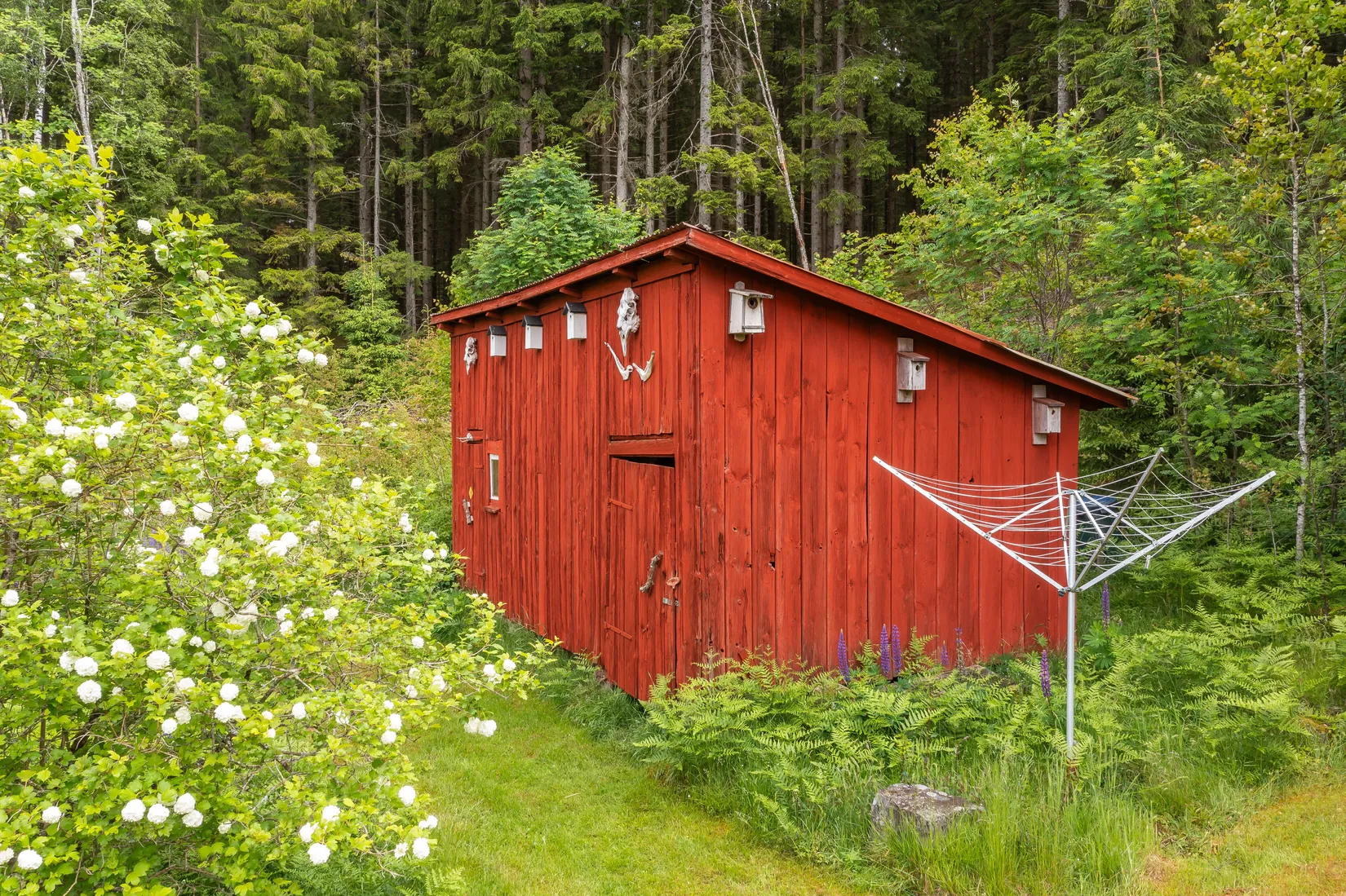 Gård/Skog, Dalen 1, Svenljunga
