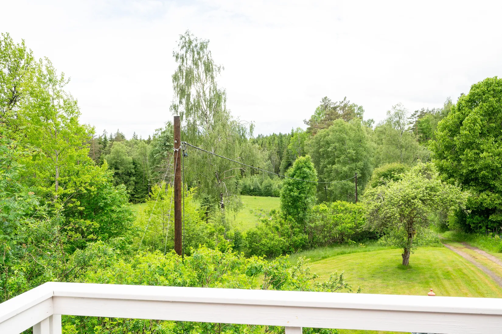 Gård/Skog, Dalen 1, Svenljunga