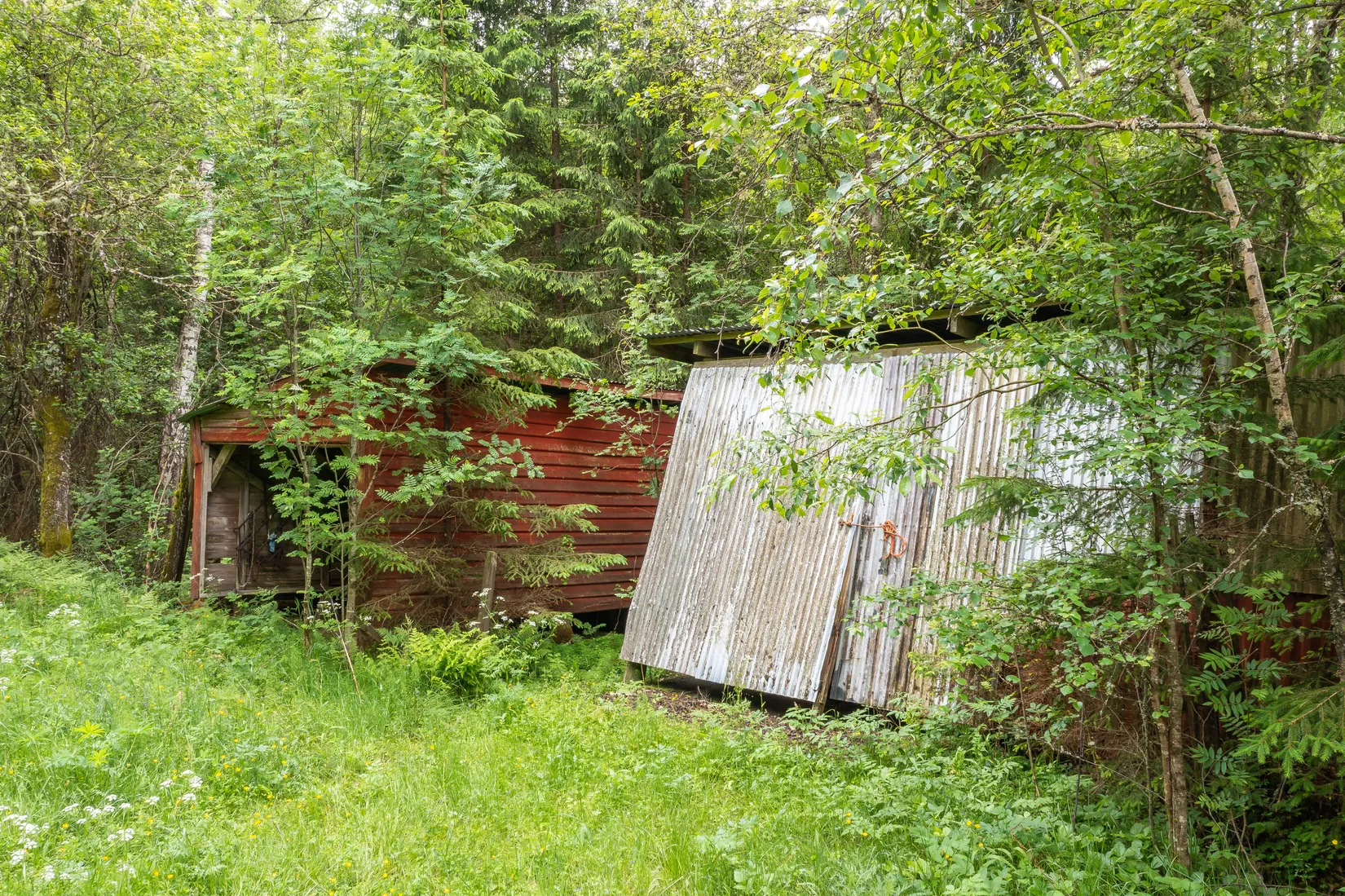 Gård/Skog, Dalen 1, Svenljunga