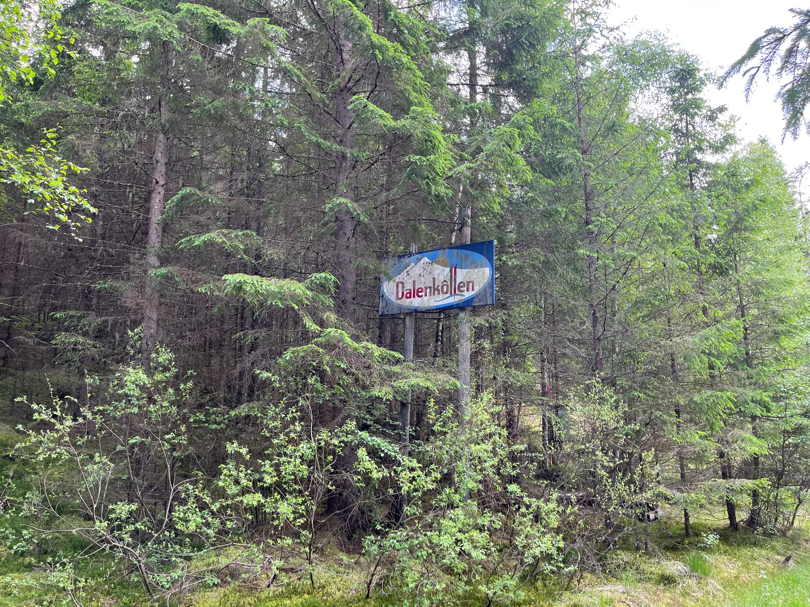 Gård/Skog, Dalen 1, Svenljunga