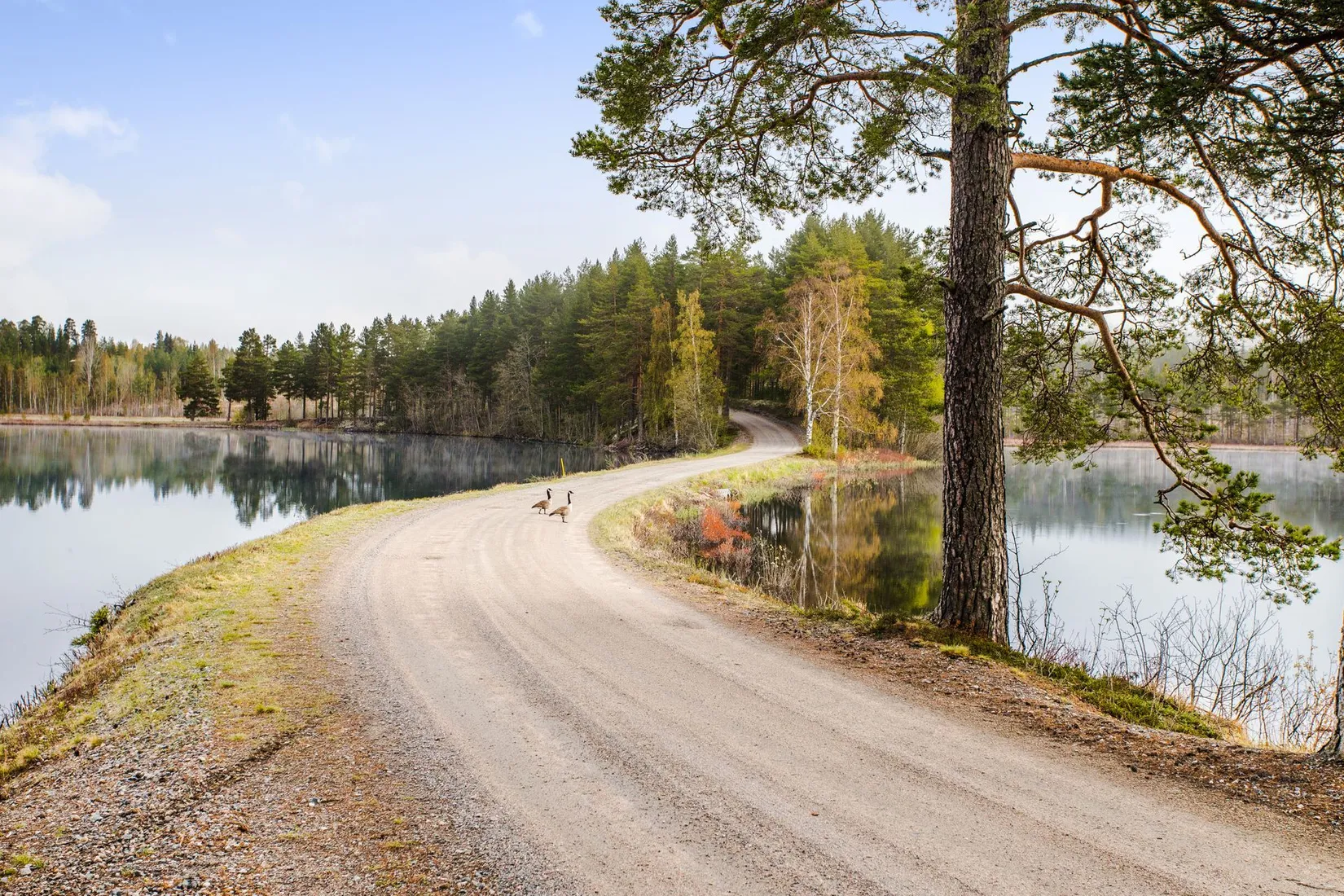 Fritidshus, Gårdviksbo 21, Gårdviksbo, Falun