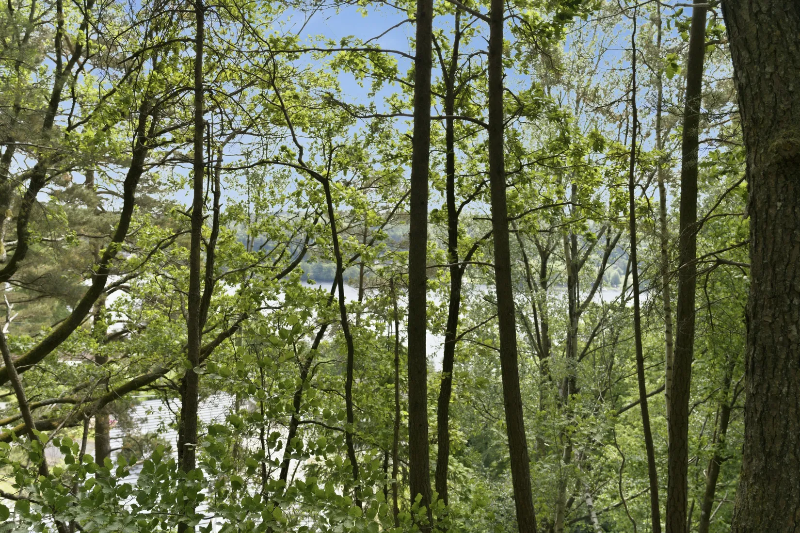 Villa, Rösetvägen - 1,2 Ha Herrgårdstomt / Exploateringsmark, Landvetter, Härryda