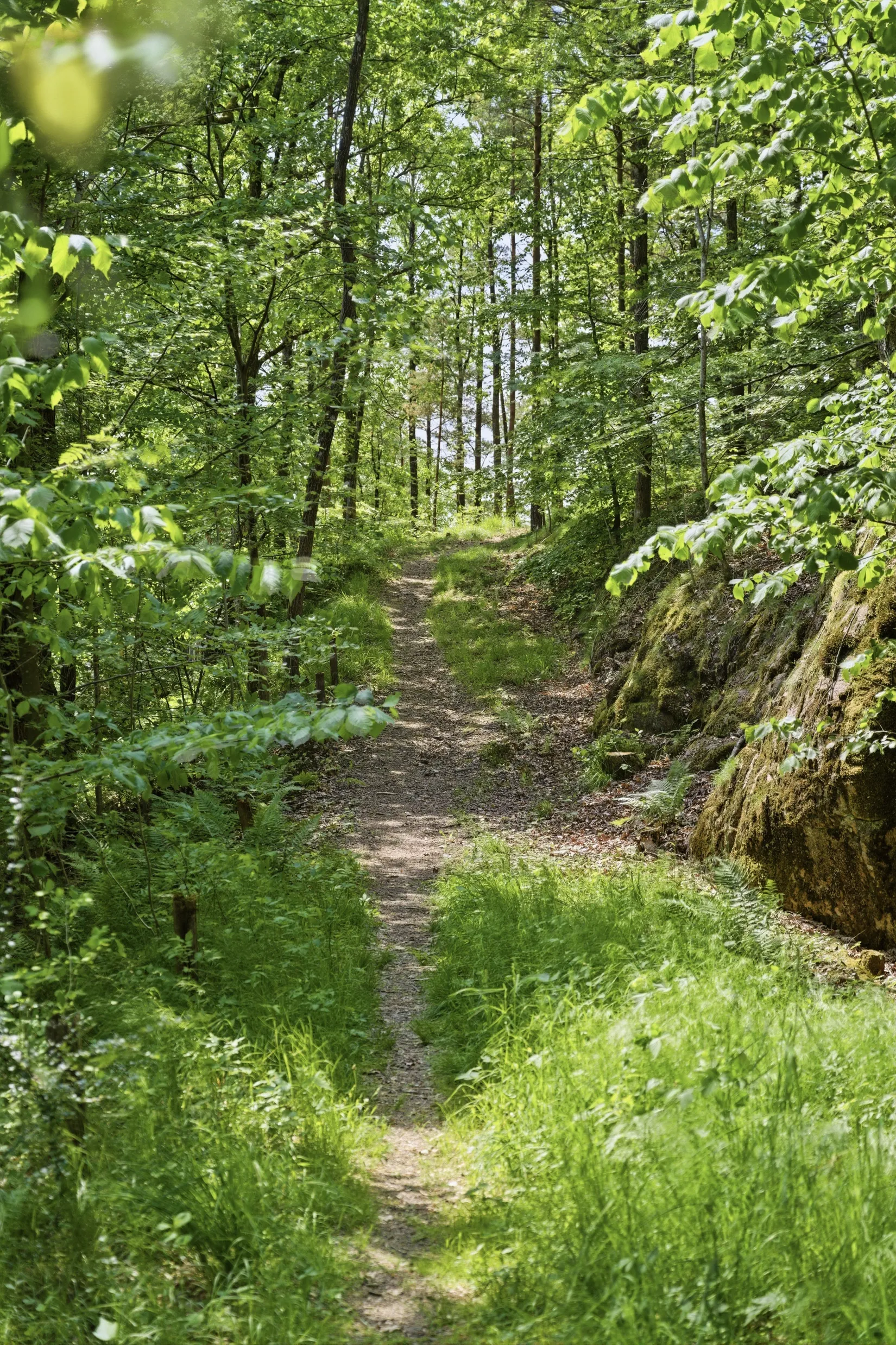 Villa, Rösetvägen - 1,2 Ha Herrgårdstomt / Exploateringsmark, Landvetter, Härryda