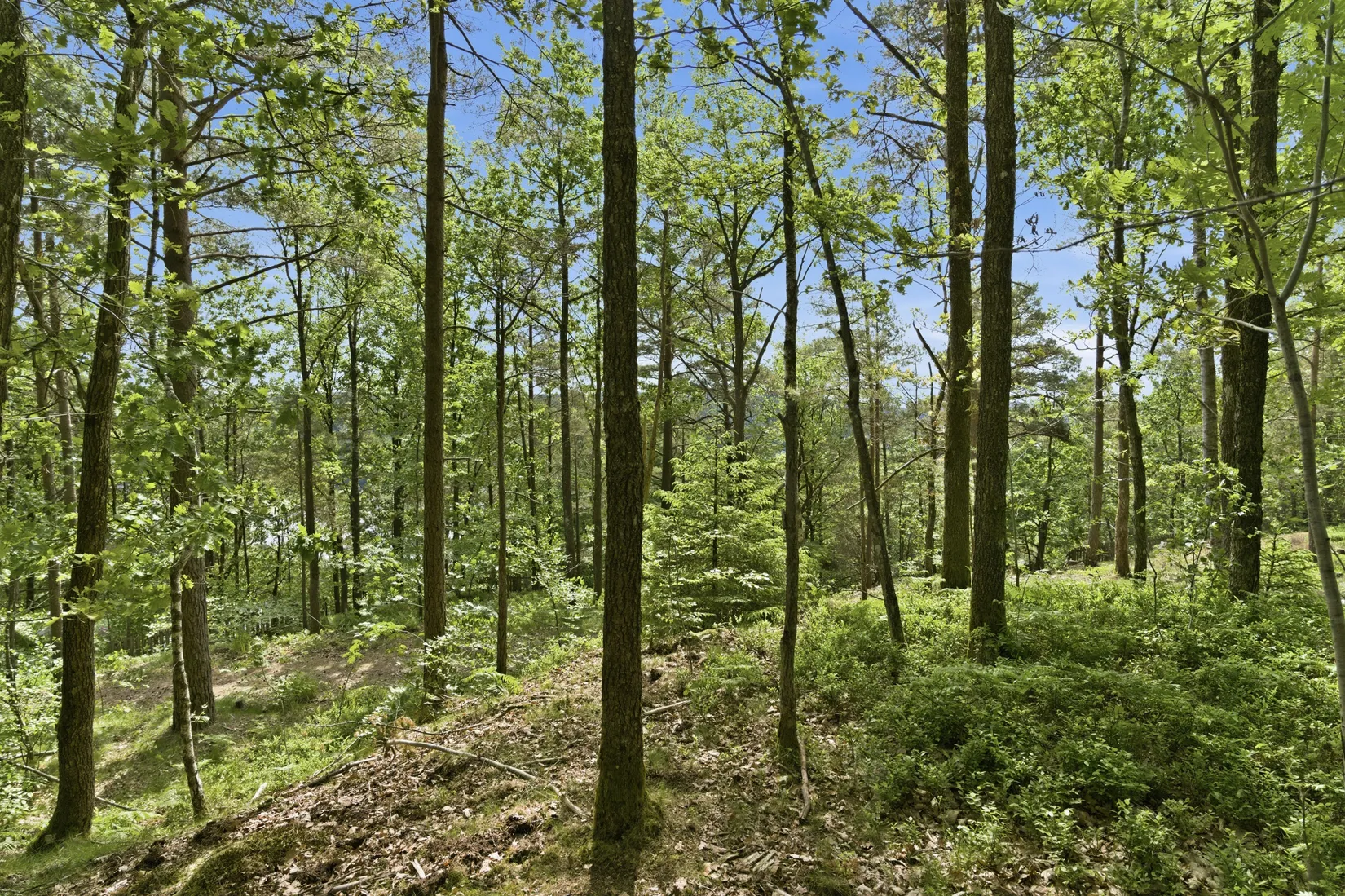 Villa, Rösetvägen - 1,2 Ha Herrgårdstomt / Exploateringsmark, Landvetter, Härryda