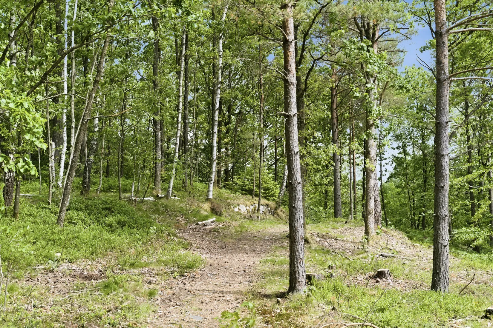 Villa, Rösetvägen - 1,2 Ha Herrgårdstomt / Exploateringsmark, Landvetter, Härryda