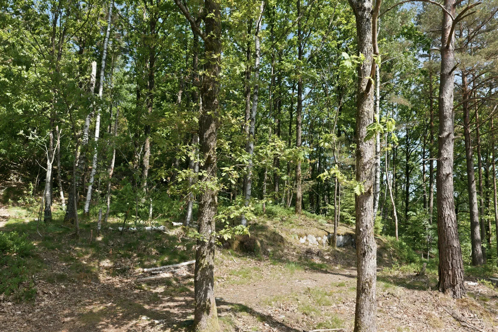 Villa, Rösetvägen - 1,2 Ha Herrgårdstomt / Exploateringsmark, Landvetter, Härryda