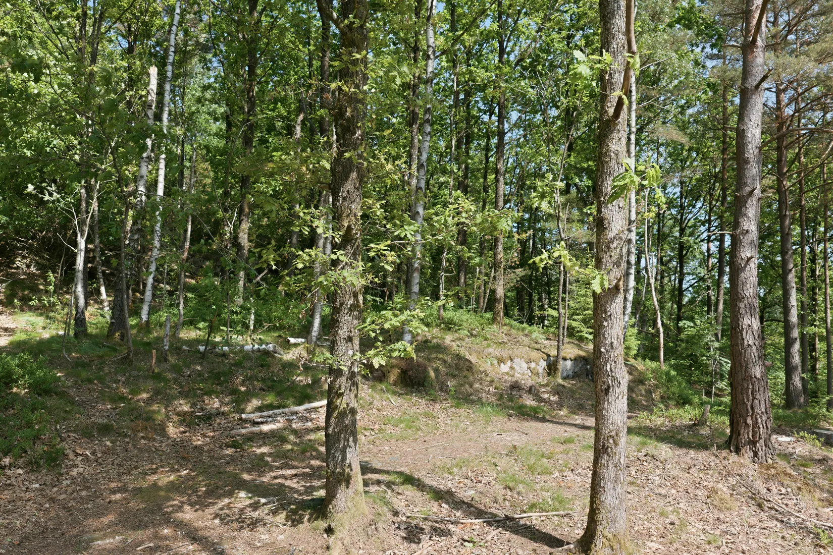 Villa, Rösetvägen - 1,2 Ha Herrgårdstomt / Exploateringsmark, Landvetter, Härryda