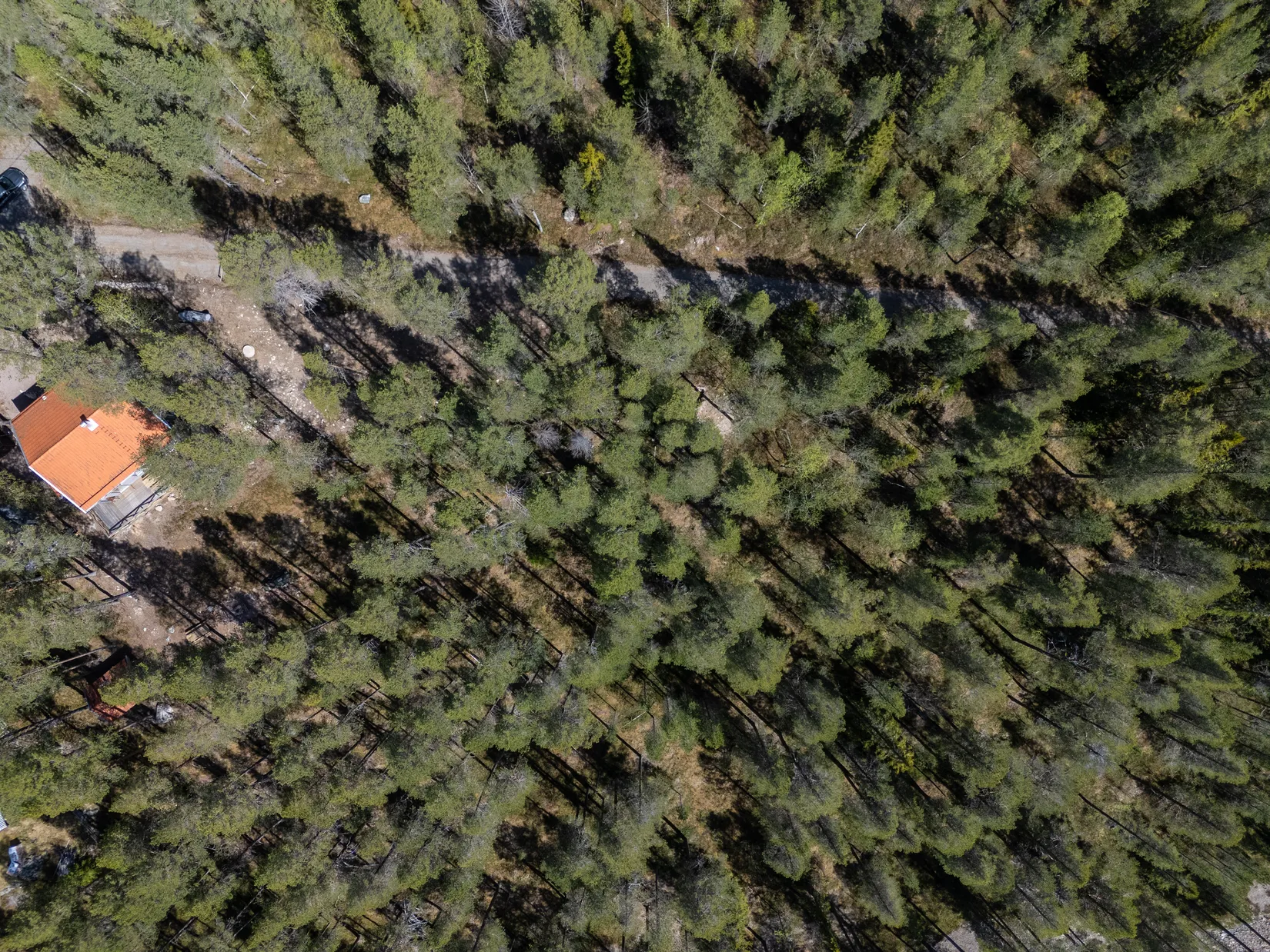 Tomt, Tomt vid Lofssjön, Härjedalen