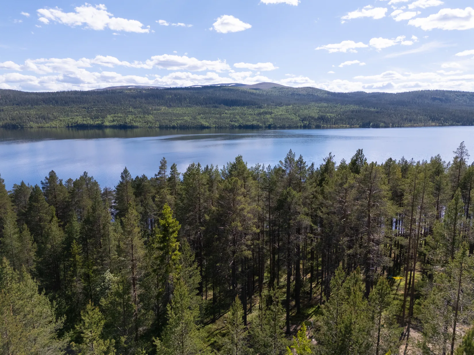 Tomt, Tomt vid Lofssjön, Härjedalen