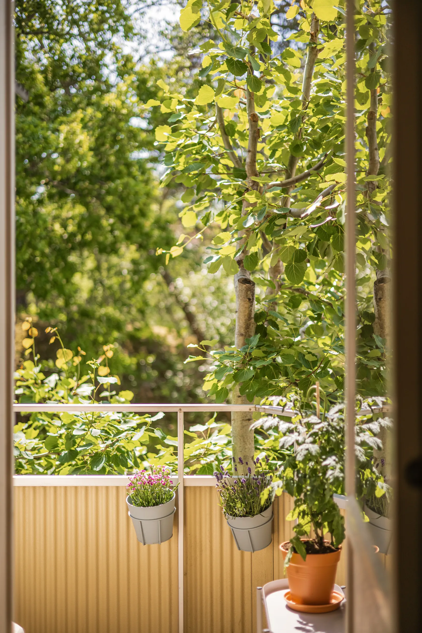 Bostadsrätt, Svalövsvägen 8, Björkhagen, Stockholm