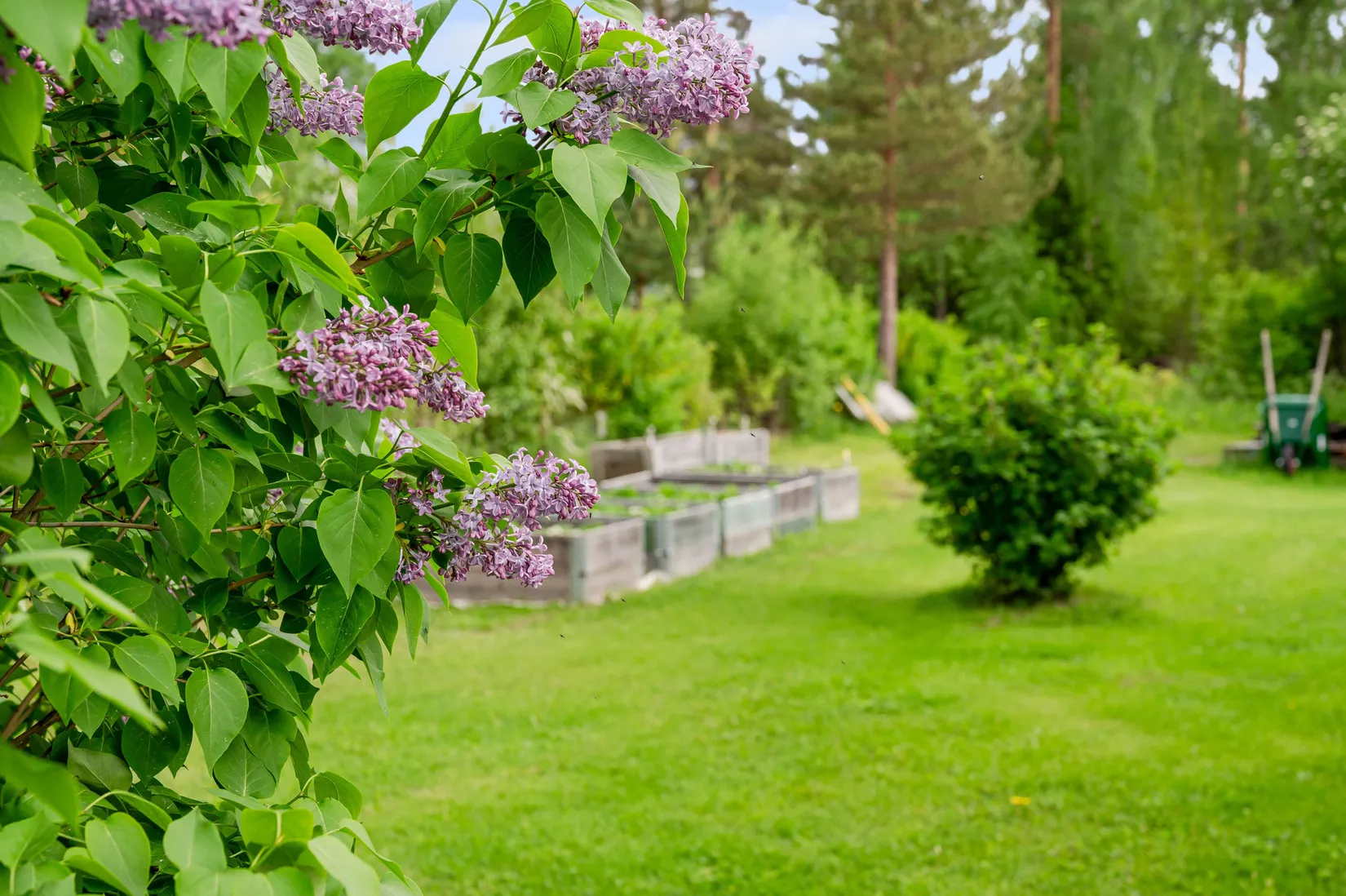 Villa, Idrottsvägen 10, Alby, Ånge