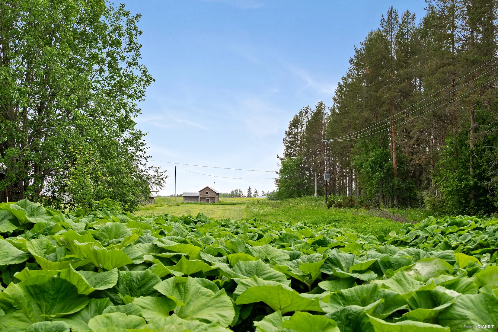Övrigt, Lorås 420, Lorås, Strömsund