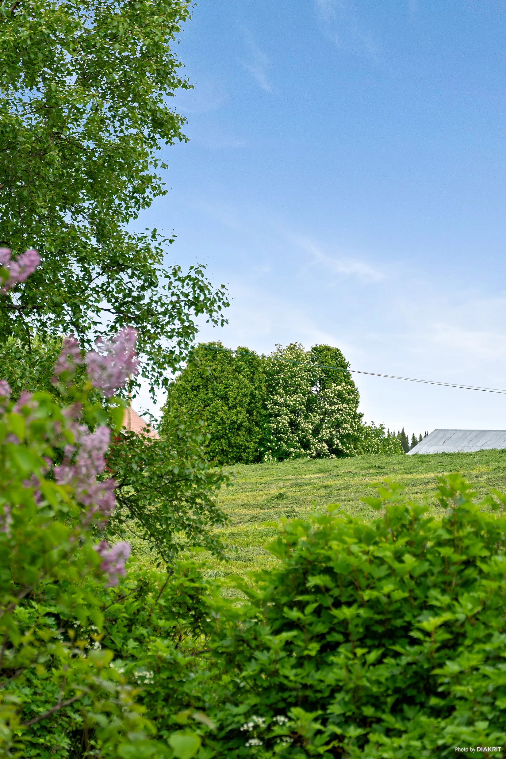 Övrigt, Lorås 420, Lorås, Strömsund