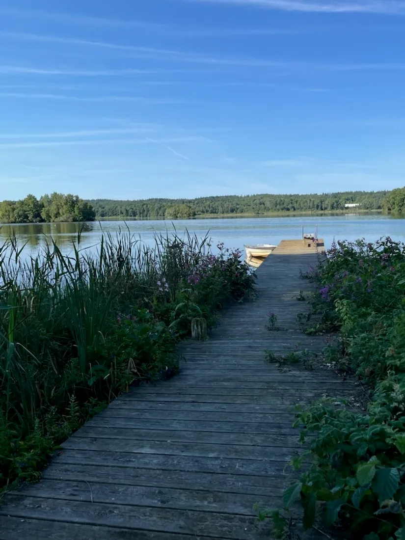 Gård/Skog, Mellby-Äspenäs 2, Eksjö