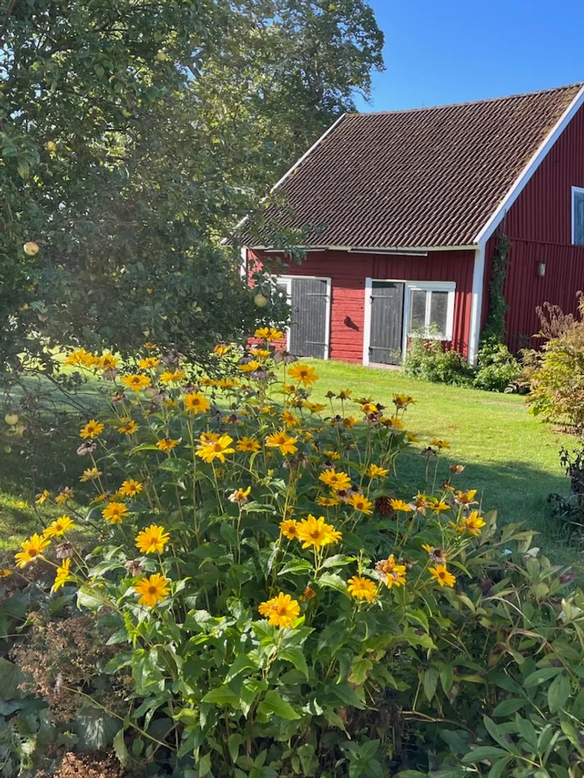 Gård/Skog, Mellby-Äspenäs 2, Eksjö