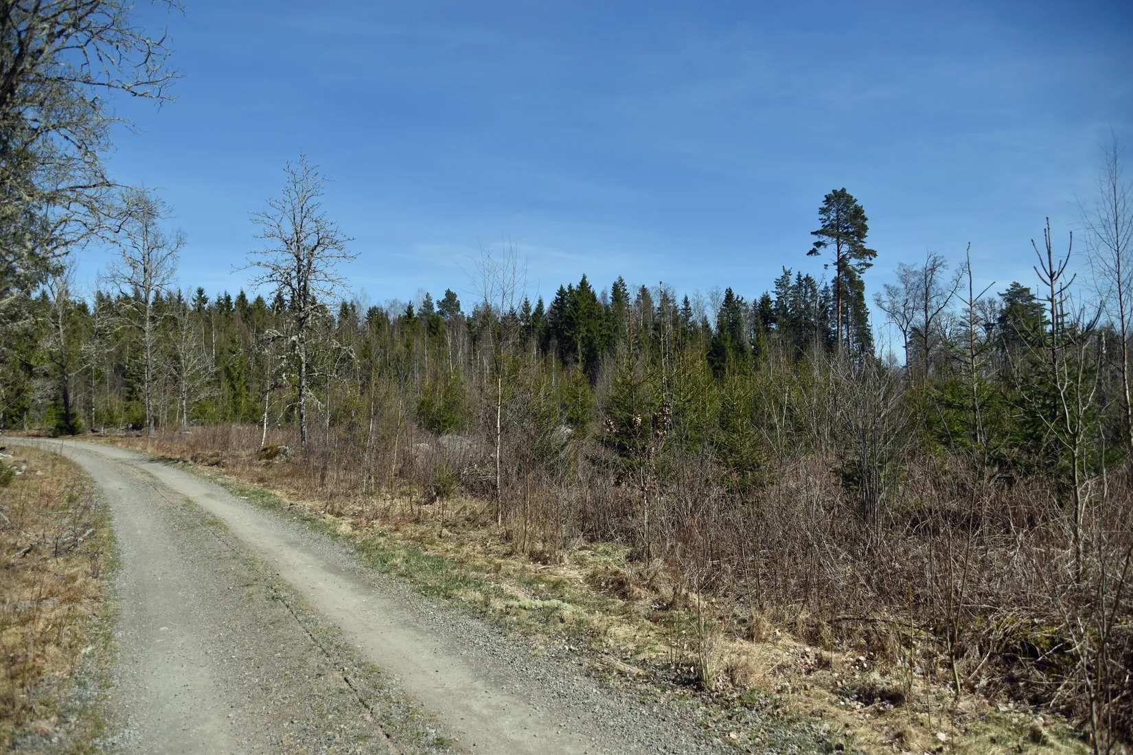 Gård/Skog, Mellby-Äspenäs 2, Eksjö