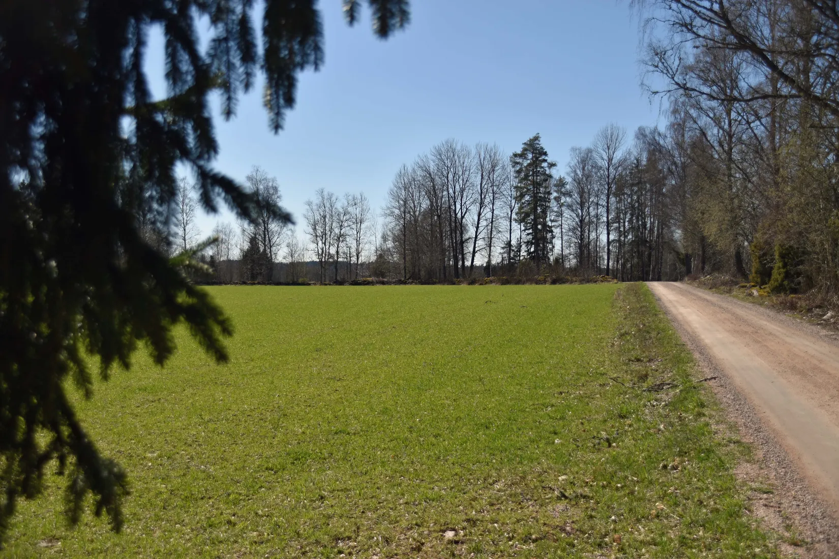 Gård/Skog, Mellby-Äspenäs 2, Eksjö